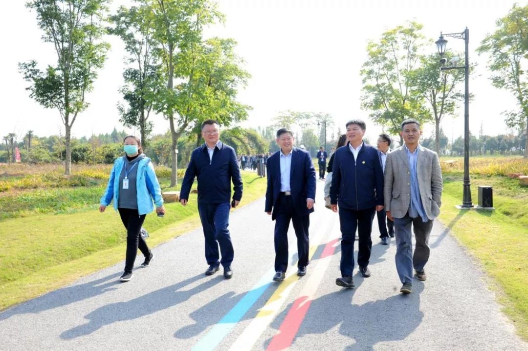 IM体育·(中国区)官方网站 -APP下载