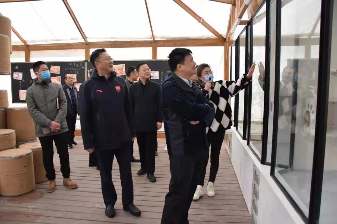 IM体育·(中国区)官方网站 -APP下载