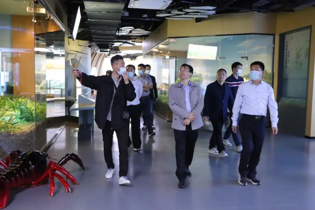 IM体育·(中国区)官方网站 -APP下载