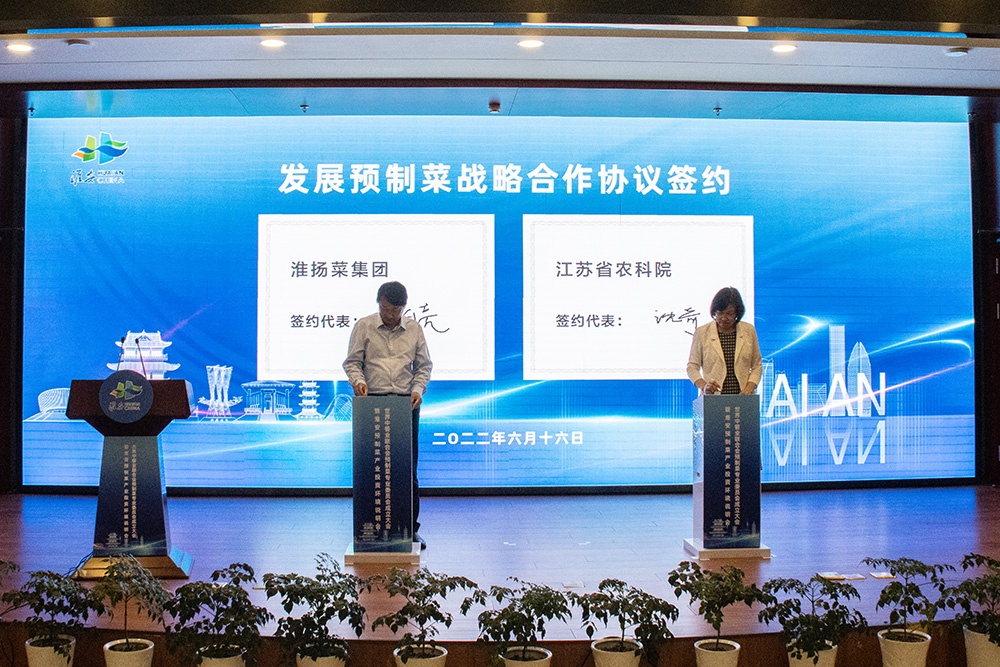IM体育·(中国区)官方网站 -APP下载