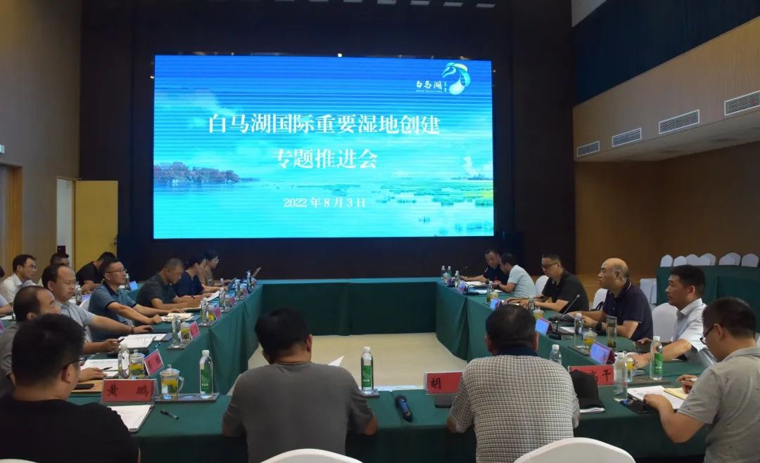 IM体育·(中国区)官方网站 -APP下载