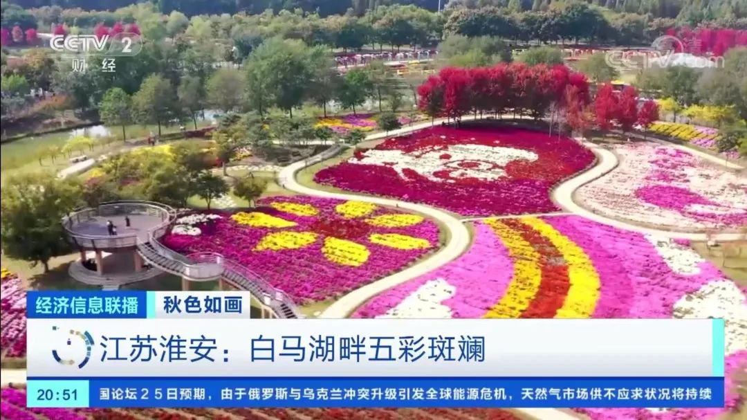 IM体育·(中国区)官方网站 -APP下载