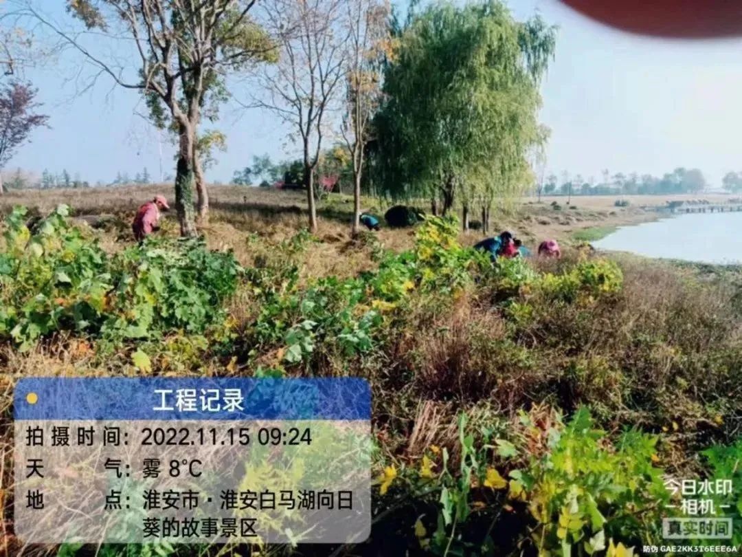 IM体育·(中国区)官方网站 -APP下载