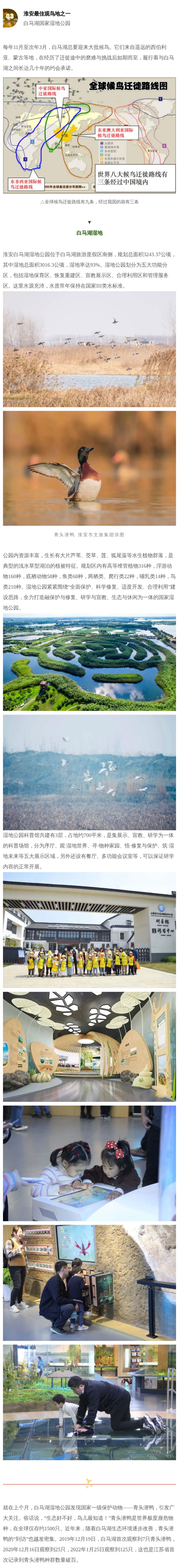 IM体育·(中国区)官方网站 -APP下载