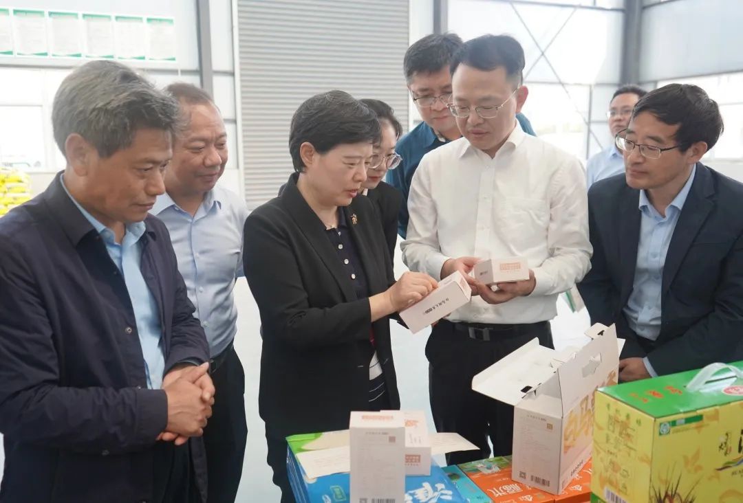 IM体育·(中国区)官方网站 -APP下载