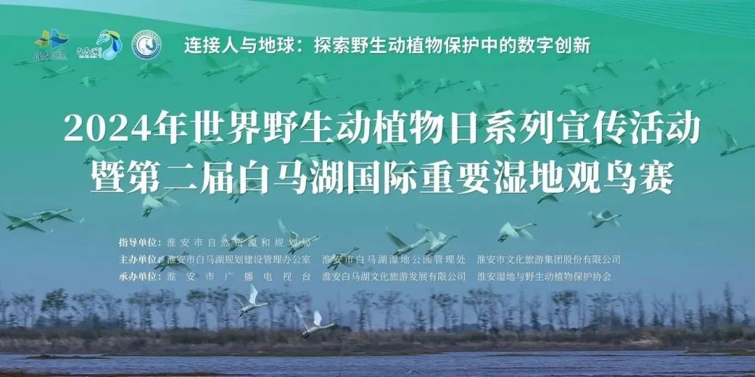 IM体育·(中国区)官方网站 -APP下载