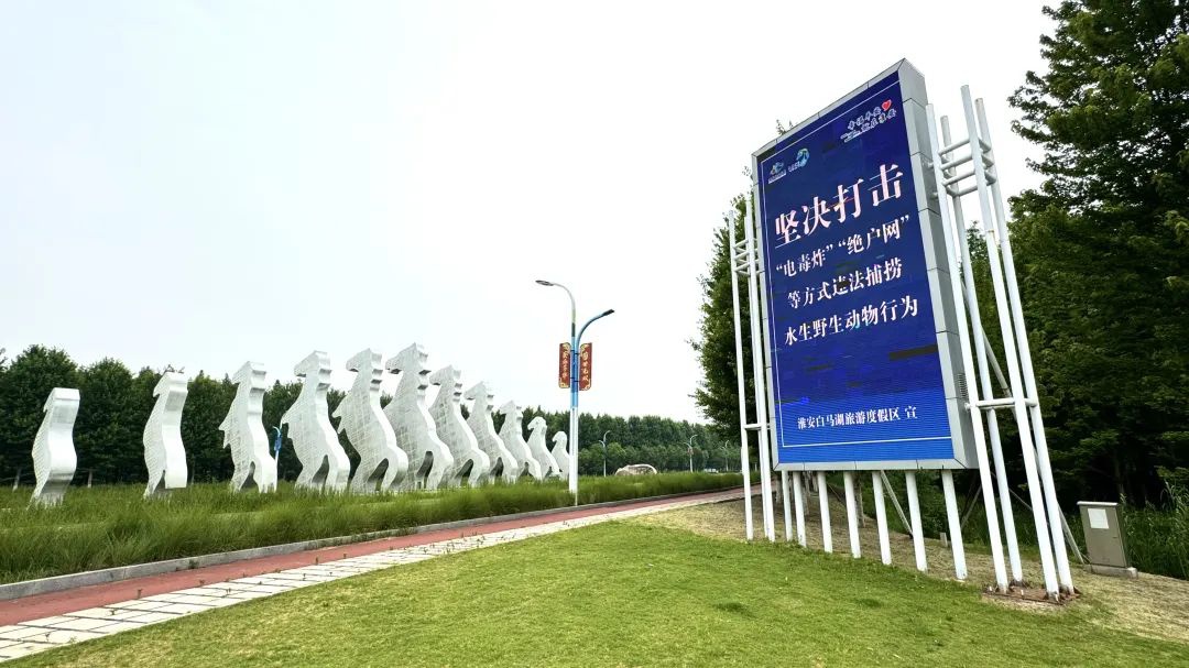 IM体育·(中国区)官方网站 -APP下载
