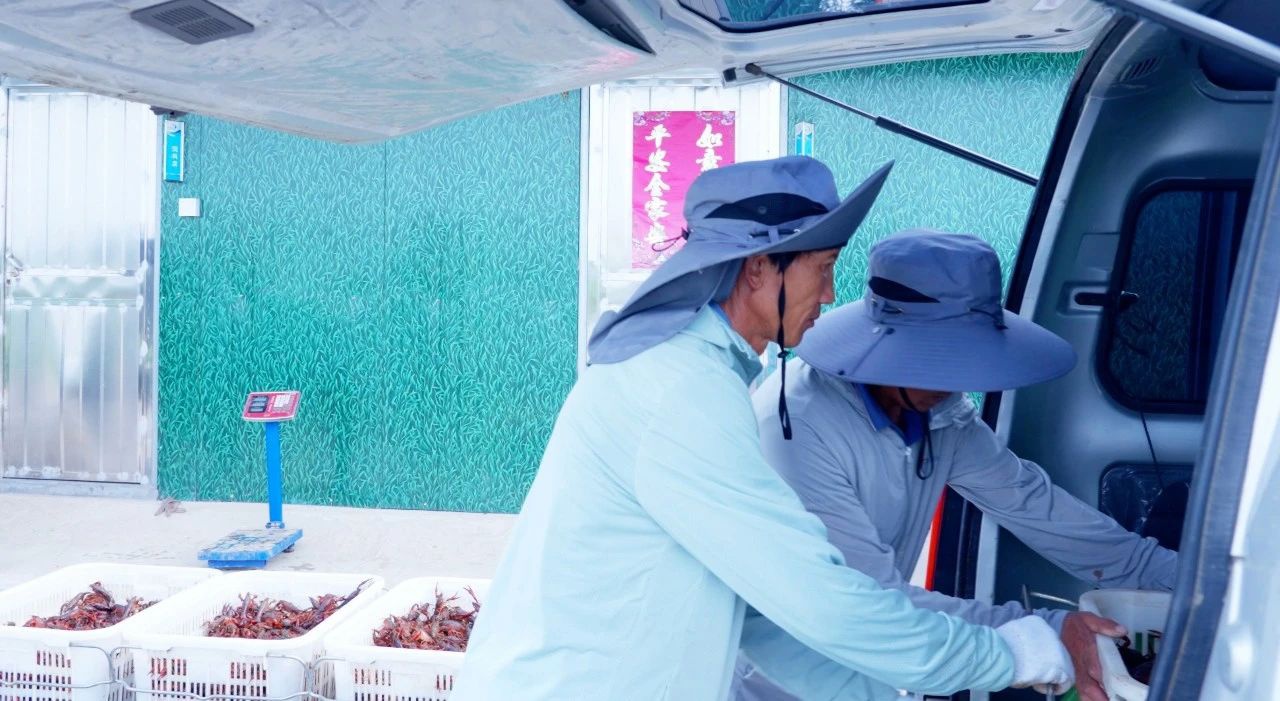 IM体育·(中国区)官方网站 -APP下载