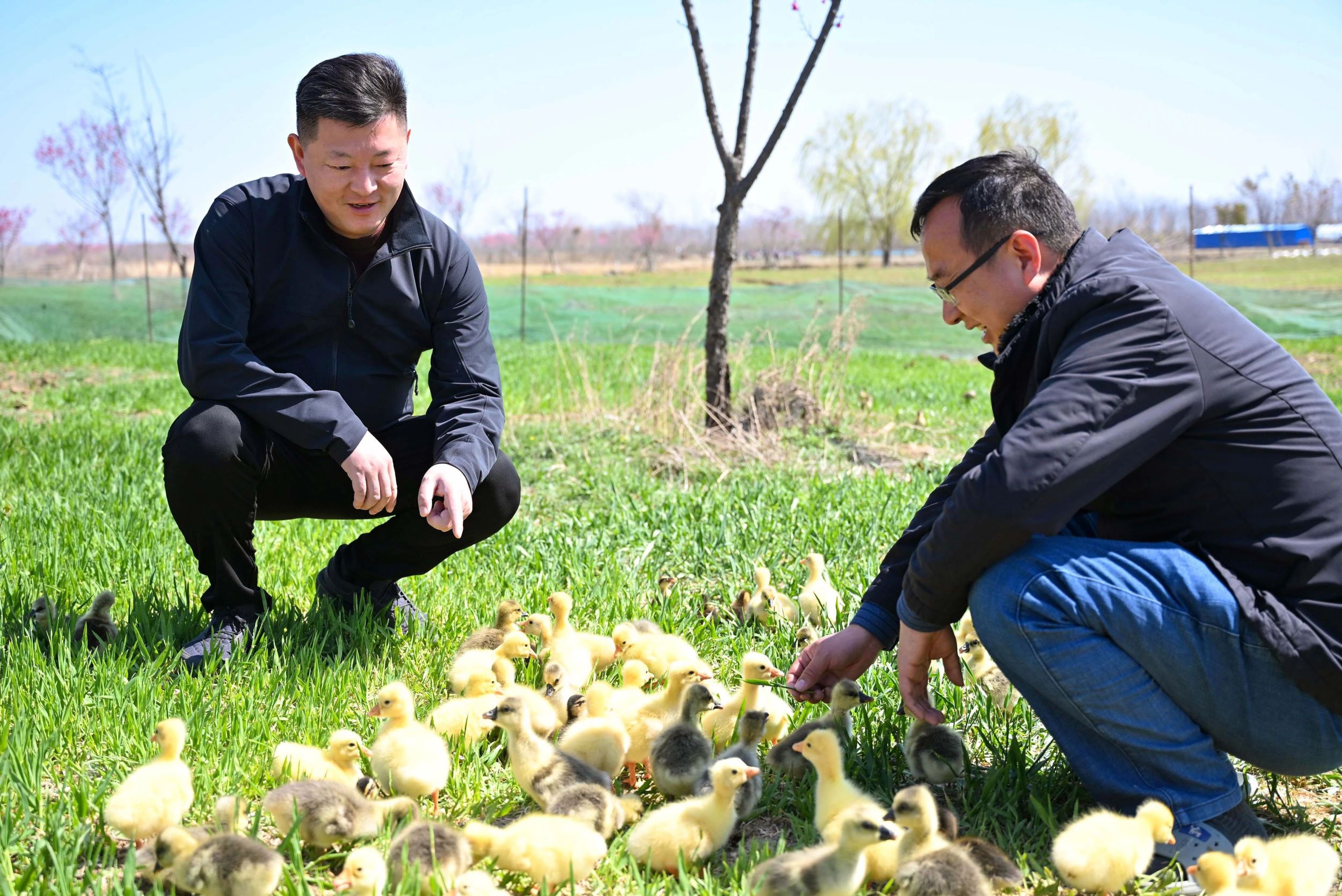 IM体育·(中国区)官方网站 -APP下载